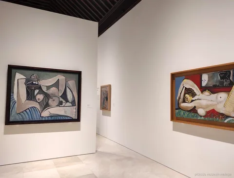 Gids leidt bezoekers tussen het Picasso Museum en het geboortehuis tijdens de Malaga combitour