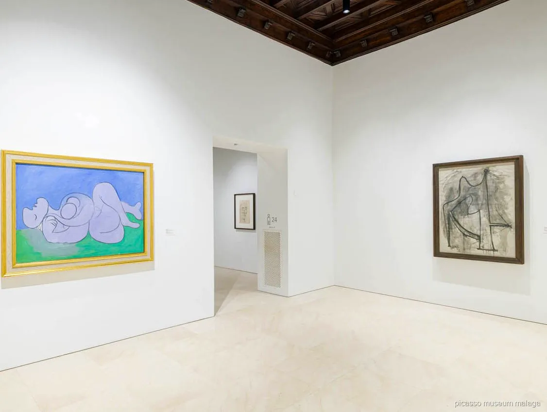 Skip-the-line entrance used on the Picasso Museum Malaga guided tour