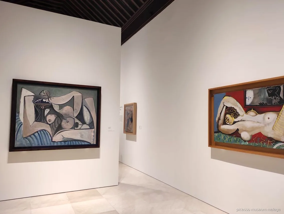 Guía llevando a los visitantes entre el Museo Picasso y la casa natal en el tour combinado de Málaga