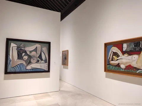 Guida che accompagna i visitatori tra il Museo Picasso e la casa natale nel tour combinato di Malaga