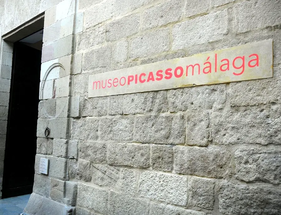 Guía privado llevando un tour privado al Museo Picasso Málaga por el casco antiguo