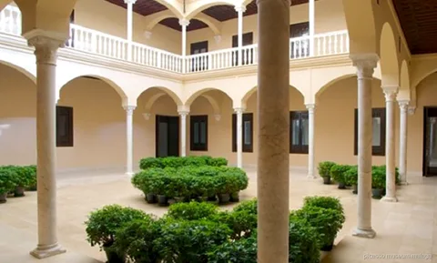 Storica dell'arte che spiega un quadro durante un tour privato al Museo Picasso Malaga