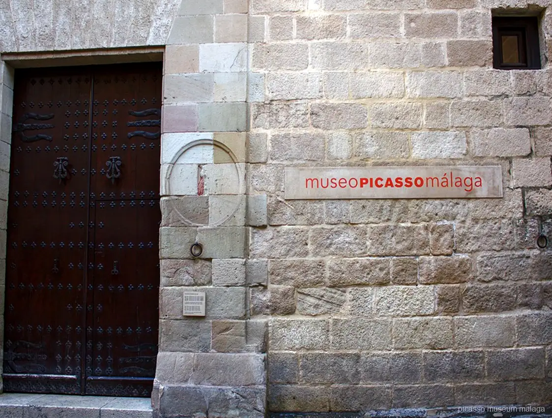 Guía llevando a un grupo reducido en una visita guiada al Museo Picasso Málaga frente al Palacio de Buenavista