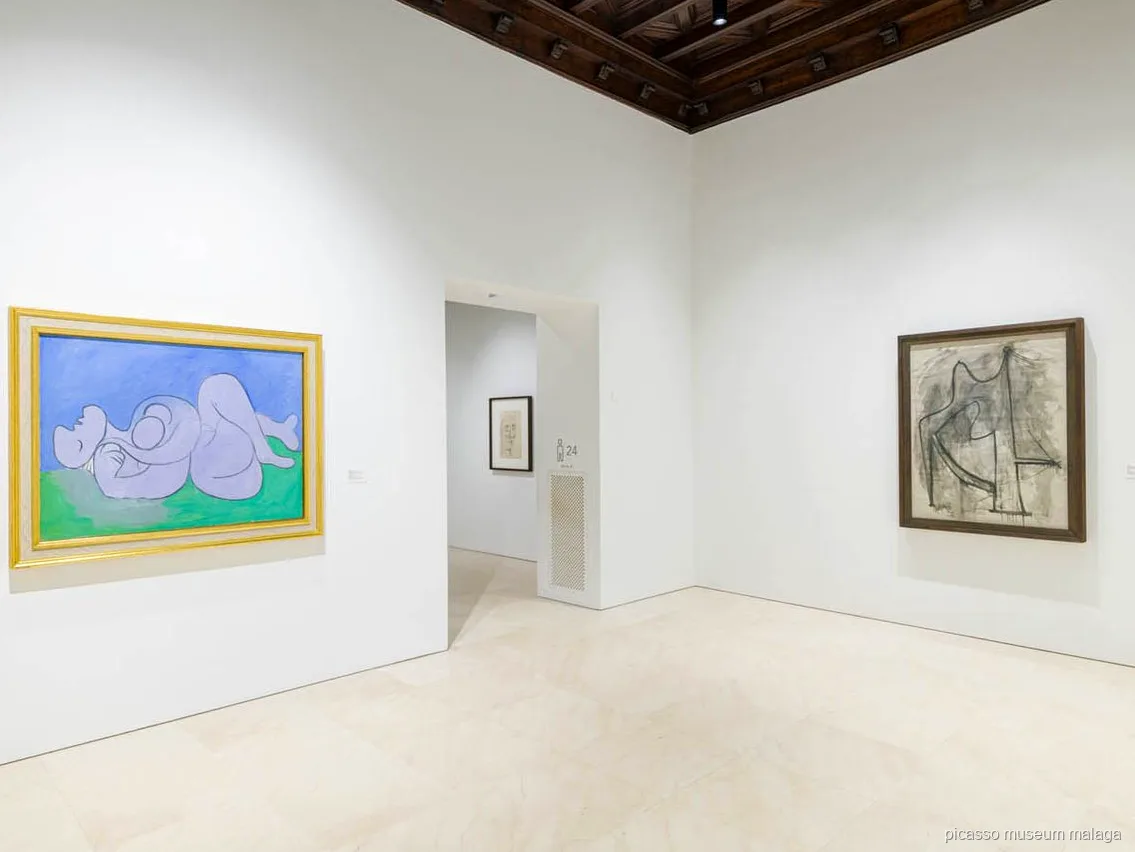 Entrada sin colas usada en la visita guiada al Museo Picasso Málaga