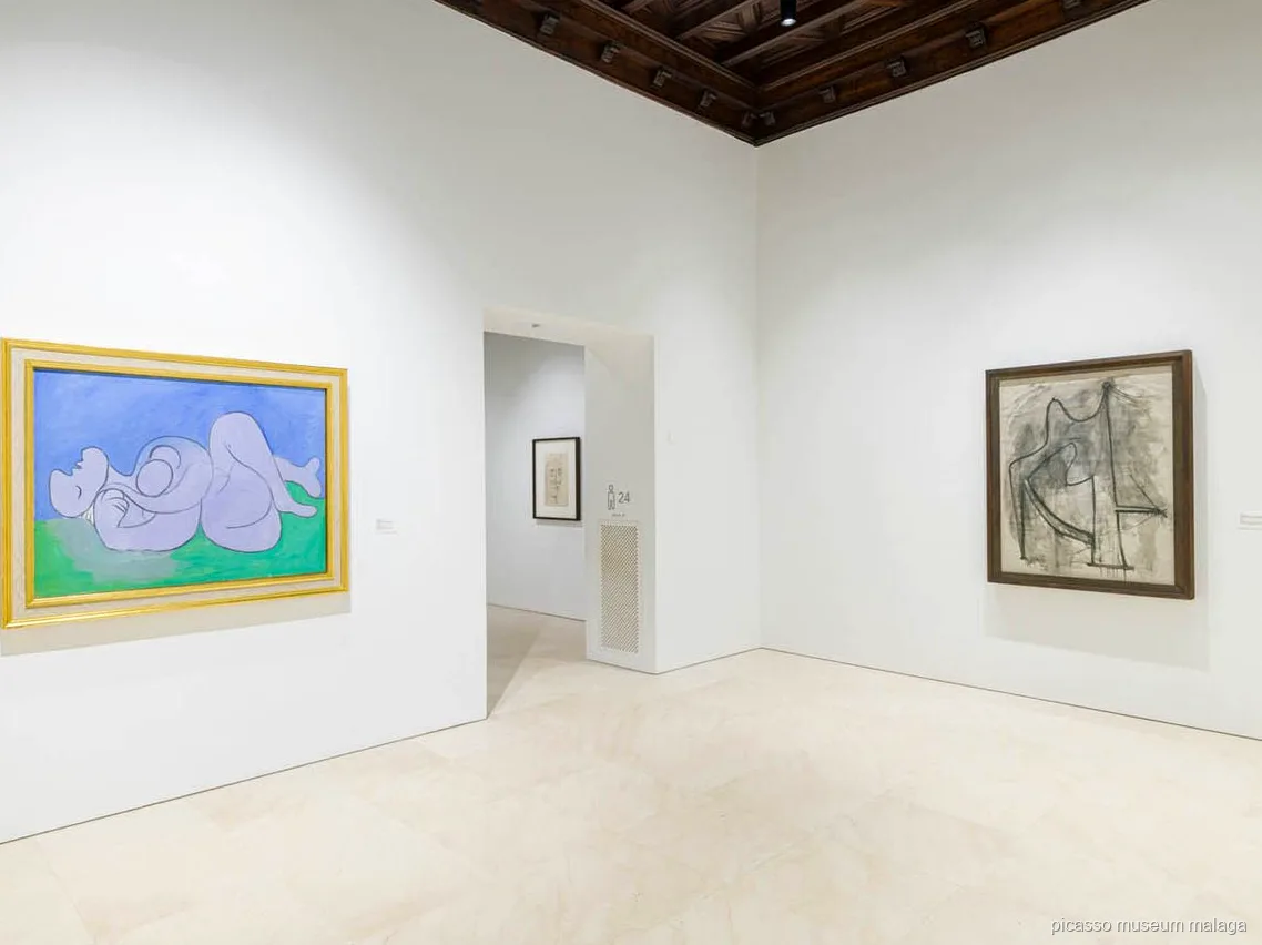 Entrée coupe-file utilisée lors de la visite guidée du Musée Picasso Malaga