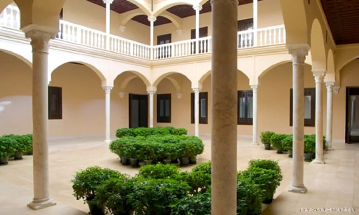 Guide historien de l'art expliquant un tableau pendant une visite privée du Musée Picasso Malaga